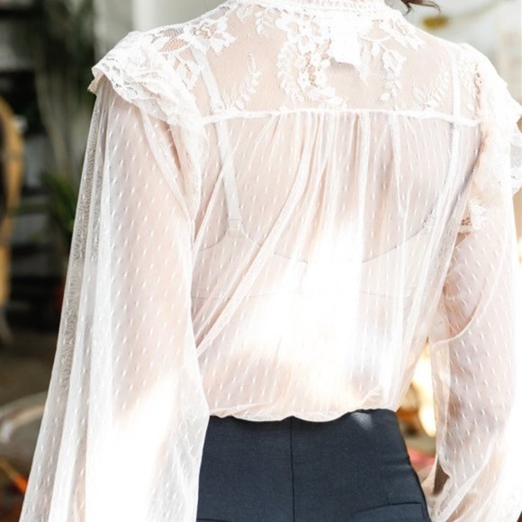 Blush Sheer Mesh Polka Dot Frill Trim Long Sleeve - Picture 4 of 4